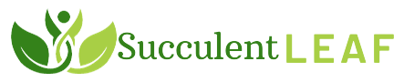 succulentleaf.com