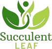 Succulentleaf-My WordPress Blog